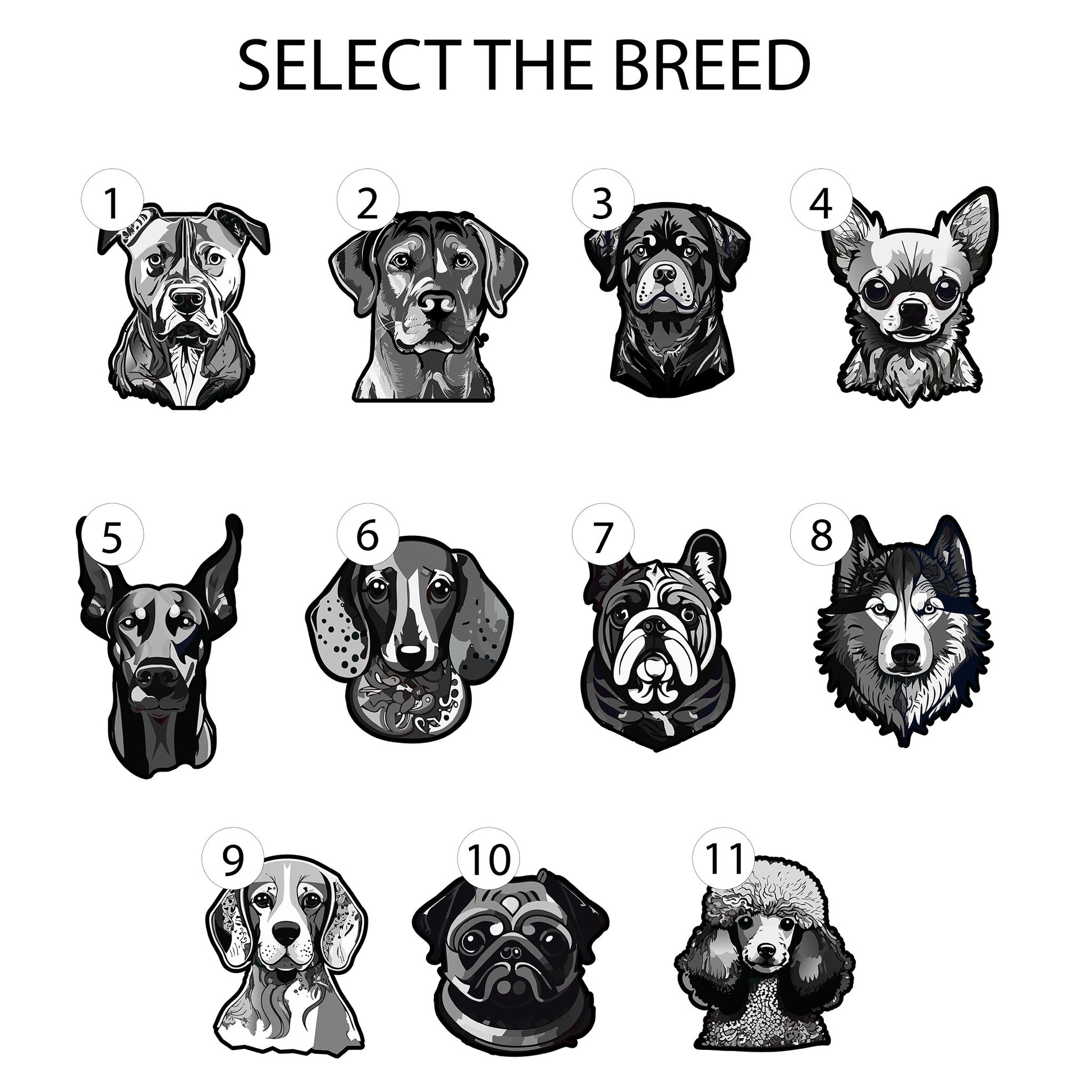 Hand Drawn Of Different Breed Dog